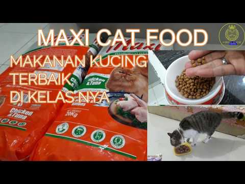 maxi-cat-food---makanan-kucing-terbaik-di-kelas-nya