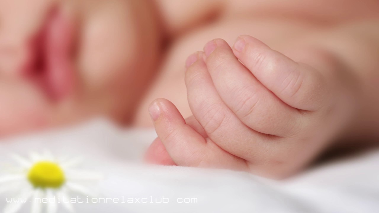 Baby Sleep Through the Night: Toddler Sleeping Solution, Relax Musics lullaby of birdland lyrics