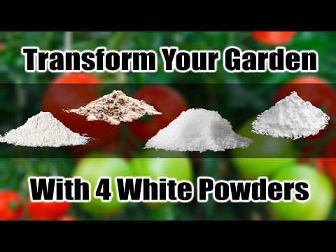 4 White Powders to Transform Your Tomatoes \u0026 Peppers