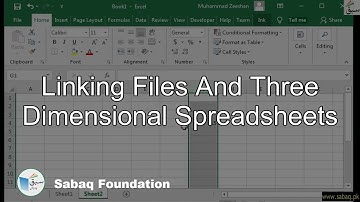 Linking Files and Three Dimentional SpreadSheets, Computer Science Lecture | Sabaq.pk