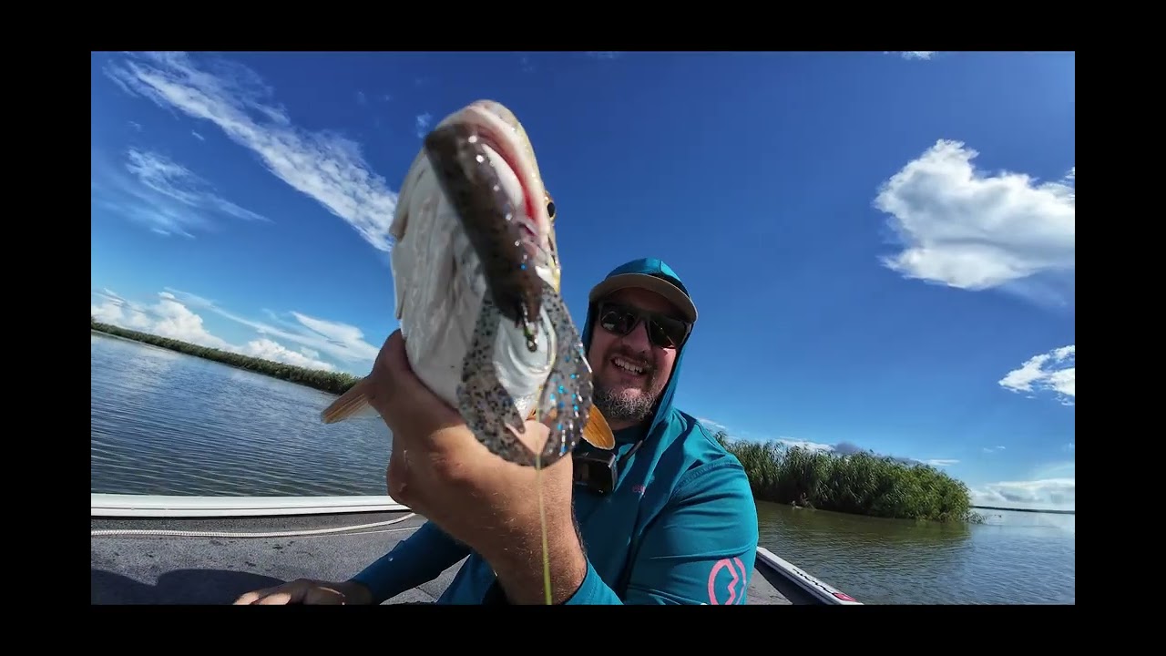 Redfish Love this Bait! Flounder Too!