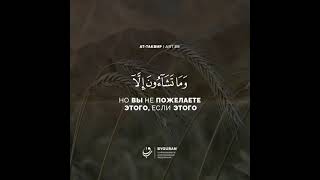 Сура "Ат-Таквир" (Скручивание) Аят 29