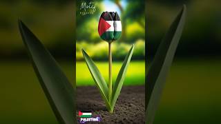  A Tulips From Palestine shorts viral flowers