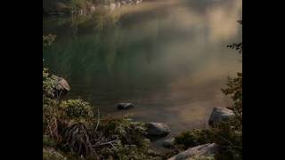 Deep Emotional Healing • Ambient Neoclassical Violin & Sweeping Legato Strings (Stress Relief)