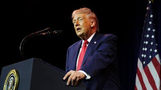 ‘Not if but when’: Feasibility of Donald Trump’s potential takeover of Greenland analysed
