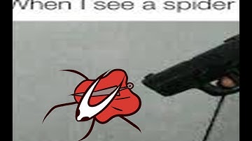 🕷 Hornet Dance | animation MEME | Hollow Knight: Silksong