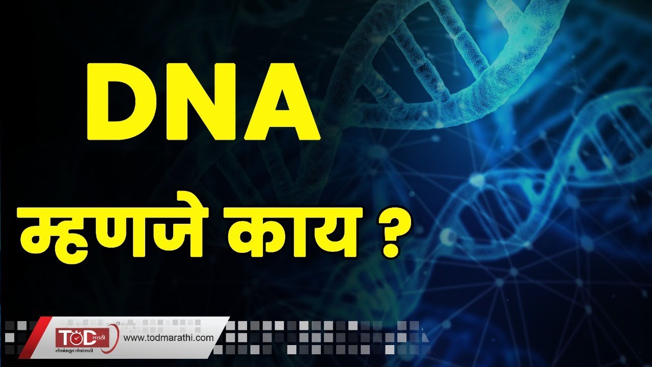 DNA Information in Marathi | What is DNA? डीएनए म्हणजे काय ? What is DNA Test in Marathi