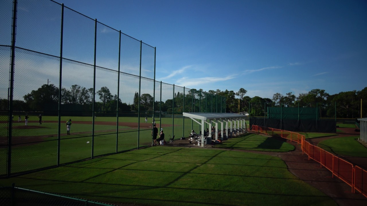 Team Elite Baseball 2017