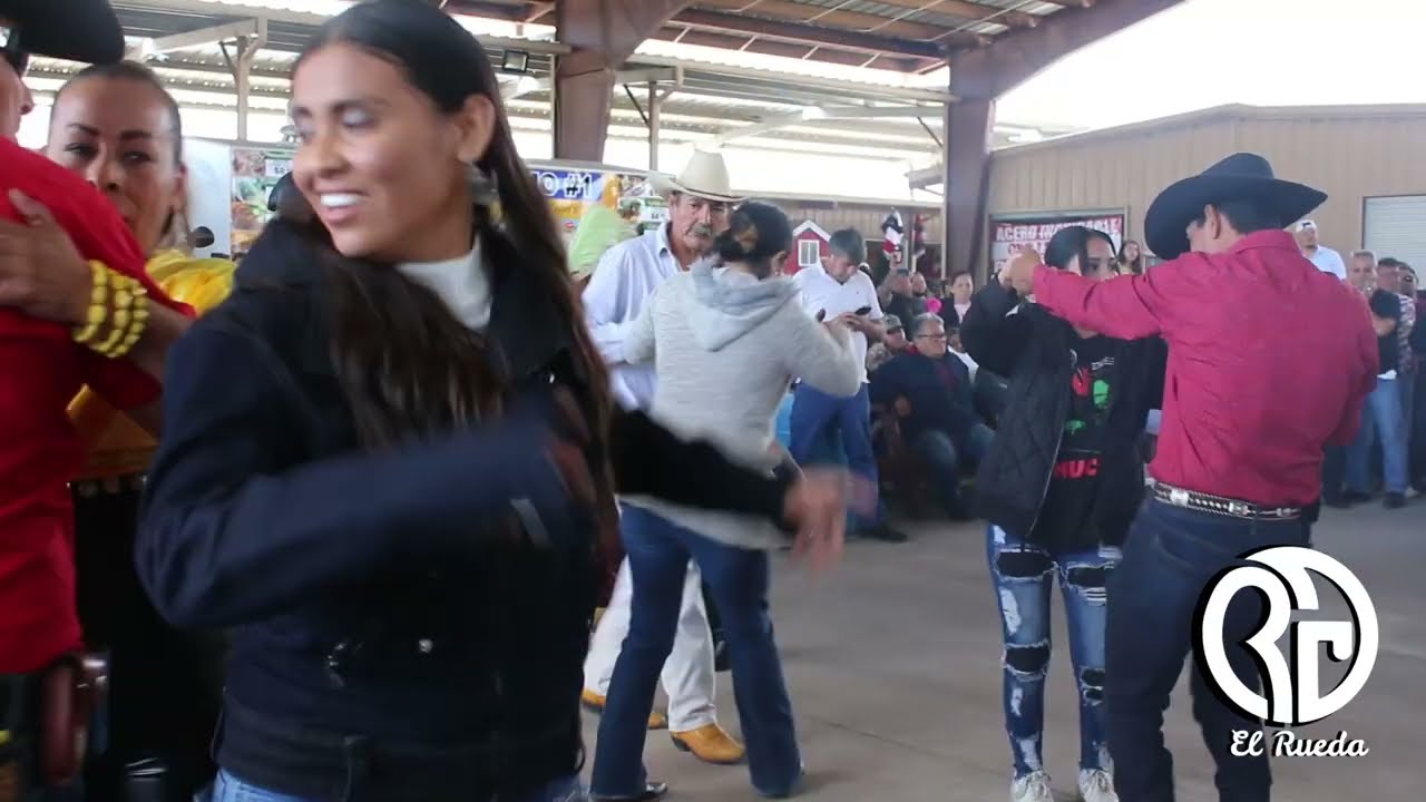 La reina de la pulga de álamo estefany