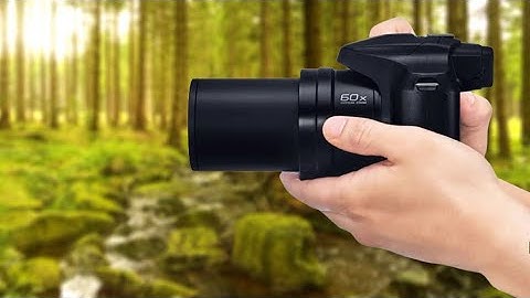 Panasonic Lumix FZ80D | Pseudo-SLR with a Superzoom Camera!