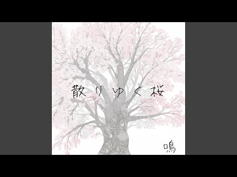 散りゆく桜