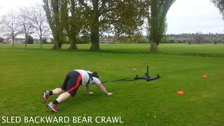 Sled Backward Bear Crawl