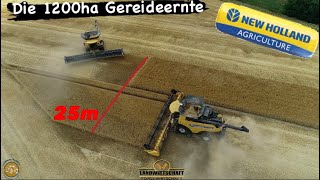 NEW HOLLAND Maschinen im Einsatz 1200ha Getreide & 25m auf einem Schlag Gerste dreschen Mecklenburg
