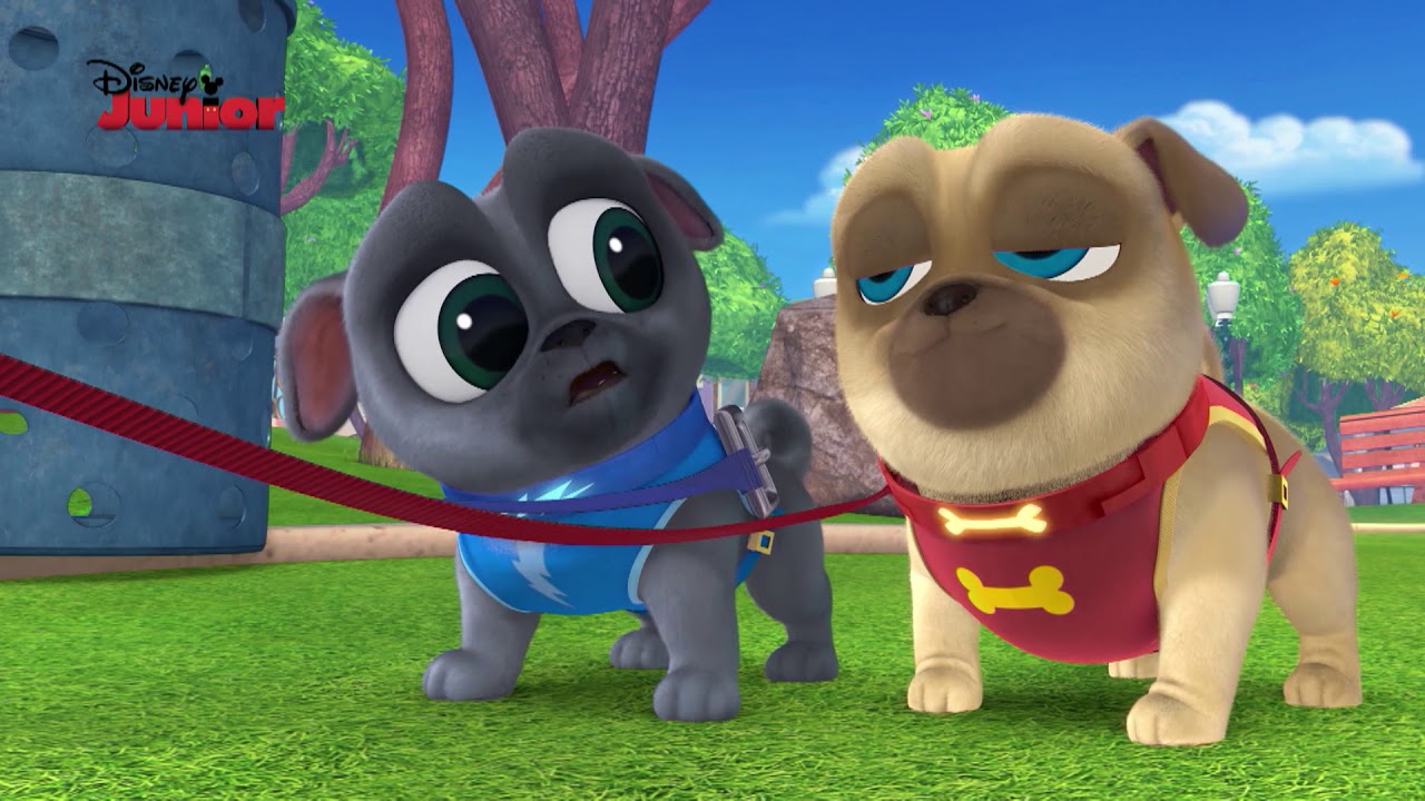 Bingo e Rolly - Disney Junior Music Party: ''Passear o Bob'' - YouTube