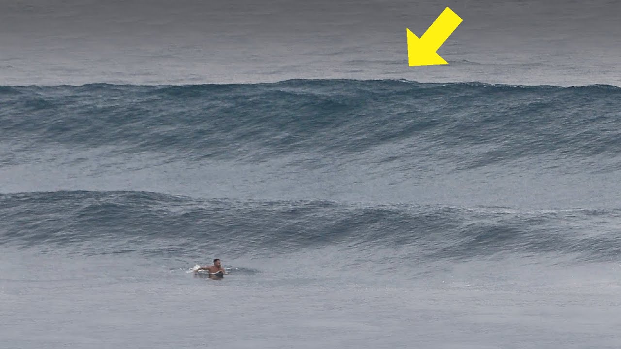 Beware! Big One Out The Back (Opening Scene) – The Bukit