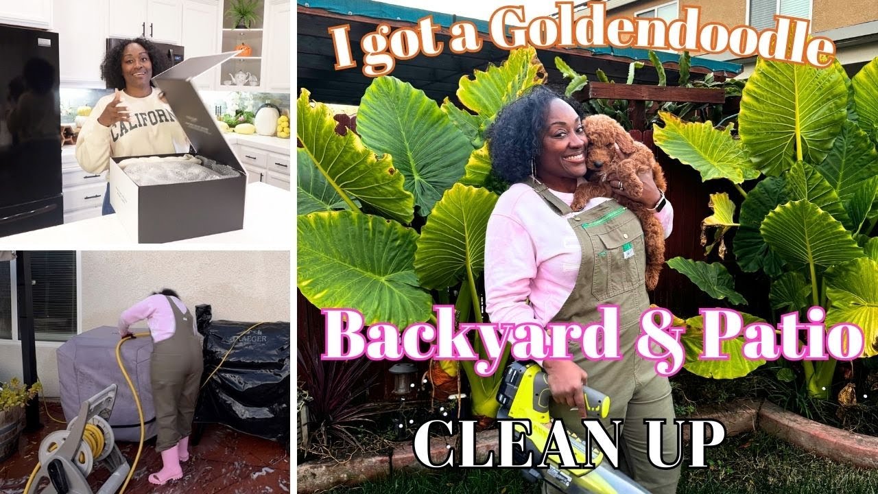 Image showcasing Backyard & Patio CleanUp before Spring | New Goldendoodle puppy! Yard ...