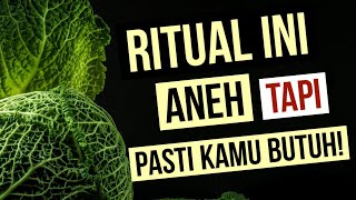 Ritual ini Aneh, tapi Pasti Kamu Butuh! (PODCAST PAGI)