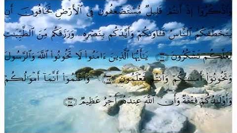 عبدالله خياط سورة الأنفال
