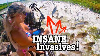 Bowfishing Invasive Waters...gone Crazy!!! (Donating Invasive Fish!!!)