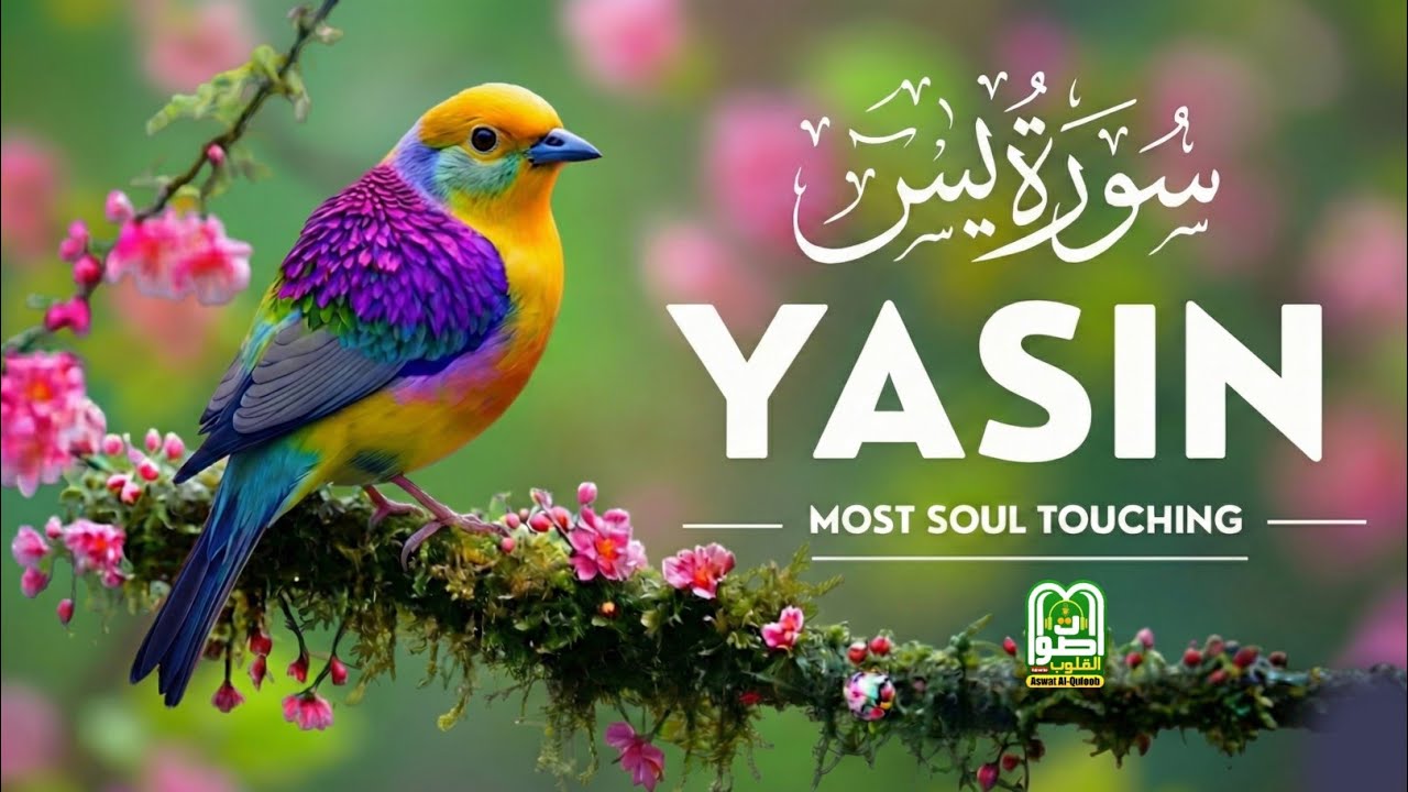 Surah Yaseen Full | Heart of Quran | Beautiful Morning Recitation for Success | Remove Stress & Pain