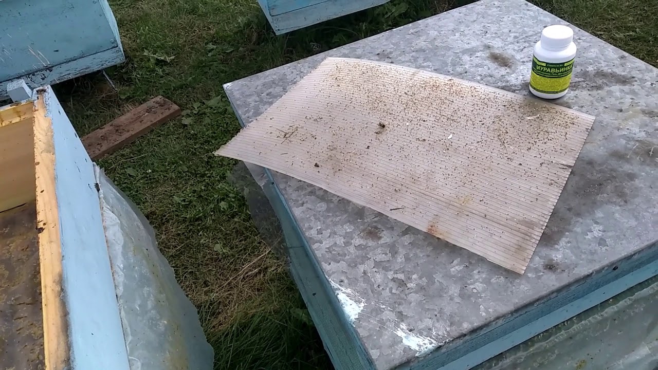 Спирт с камфорой+муравьиная кислота= варроатозу ,,КАЮК,, часть 2 - YouTube