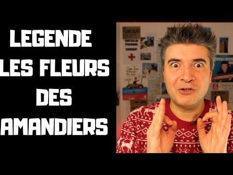 Vidéo: Mon amandier ne fleurira pas - Pourquoi n'y a-t-il pas de fleurs d'amandier