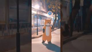 Funny Uz Tiktok Best Compilation