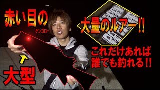 大量のルアーがあれば誰でも釣れる【業者レベル】