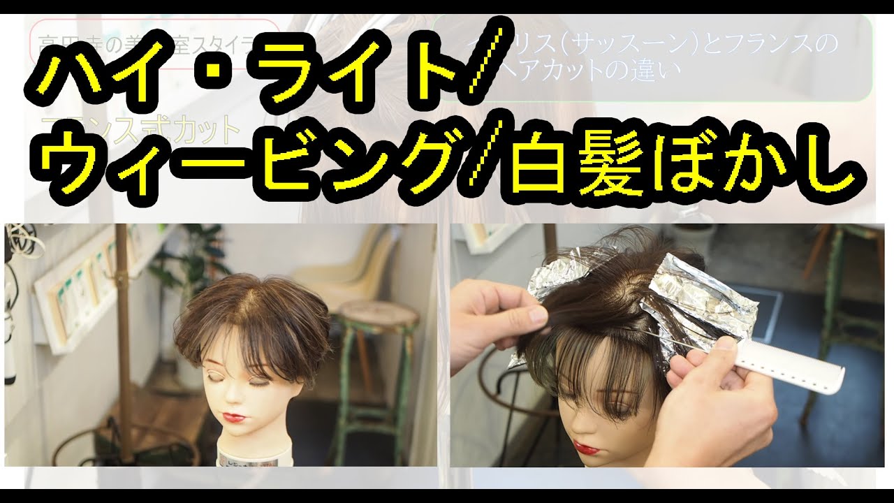 ハイ・ライト/ウィービング/白髪ぼかし＜美容師のカットの理論・技術