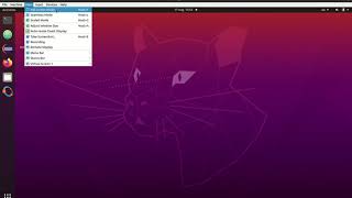 Virtual Machine -- Resizing the User Interface (Desktop)