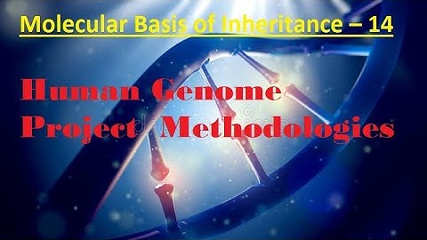 Molecular Basis of Inheritance – 14, Human Genome Project  Methodologies