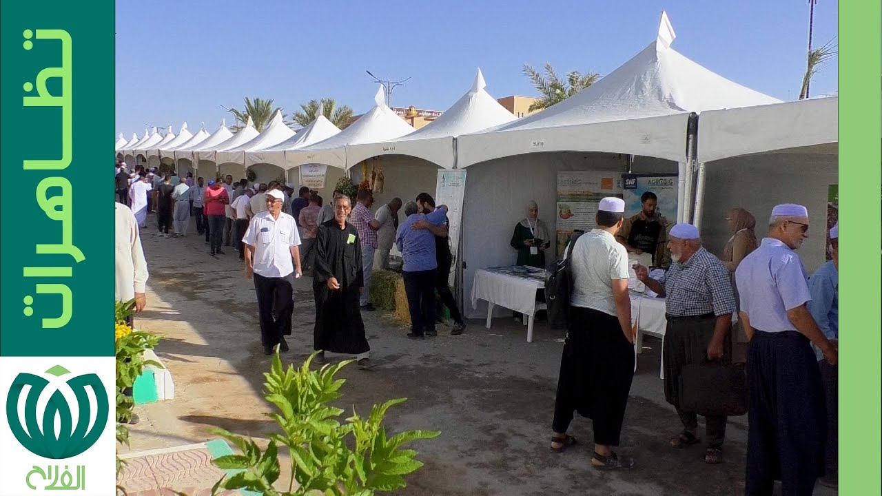 اليوم الوطني للإرشاد الفلاحي..من أجل فلاحة ذكية، واعدة ومستدامة