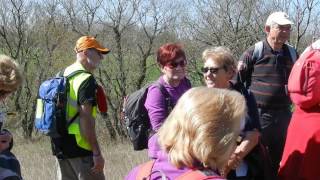 46 Grealou Rc 16 03 17