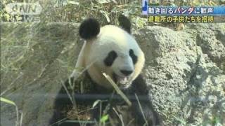 【地震】被災者を上野動物園に招待　パンダに歓声（11/04/05）