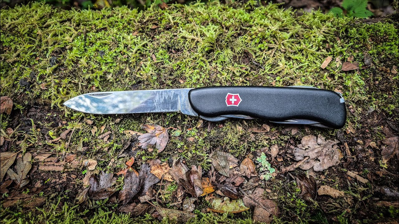 Почему Victorinox Forester — мой любимый швейцарский армейский нож для путешествий и приключений