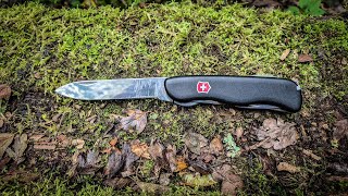 видео: Почему Victorinox Forester — мой любимый швейцарский армейский нож для путешествий и приключений картинка: Почему Victorinox Forester — мой любимый швейцарский армейский нож для путешествий и приключений