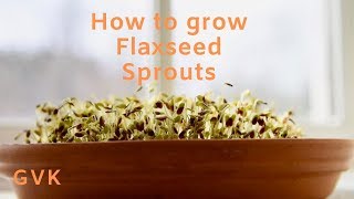 How To Grow Flaxseed Sprouts