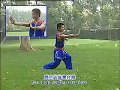 تعليم الاسلوب الجنوبي في الكونغ فو الجزء الاولlearn Nanquan Style In The Kungfu 