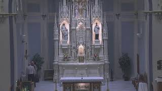 Sunday Mass for June 21, 2026:   The 12th Sunday in Ordinary Time