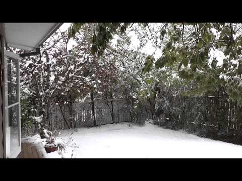 Sound of Snow Breaking Tree Branches - 12 Oct 2012