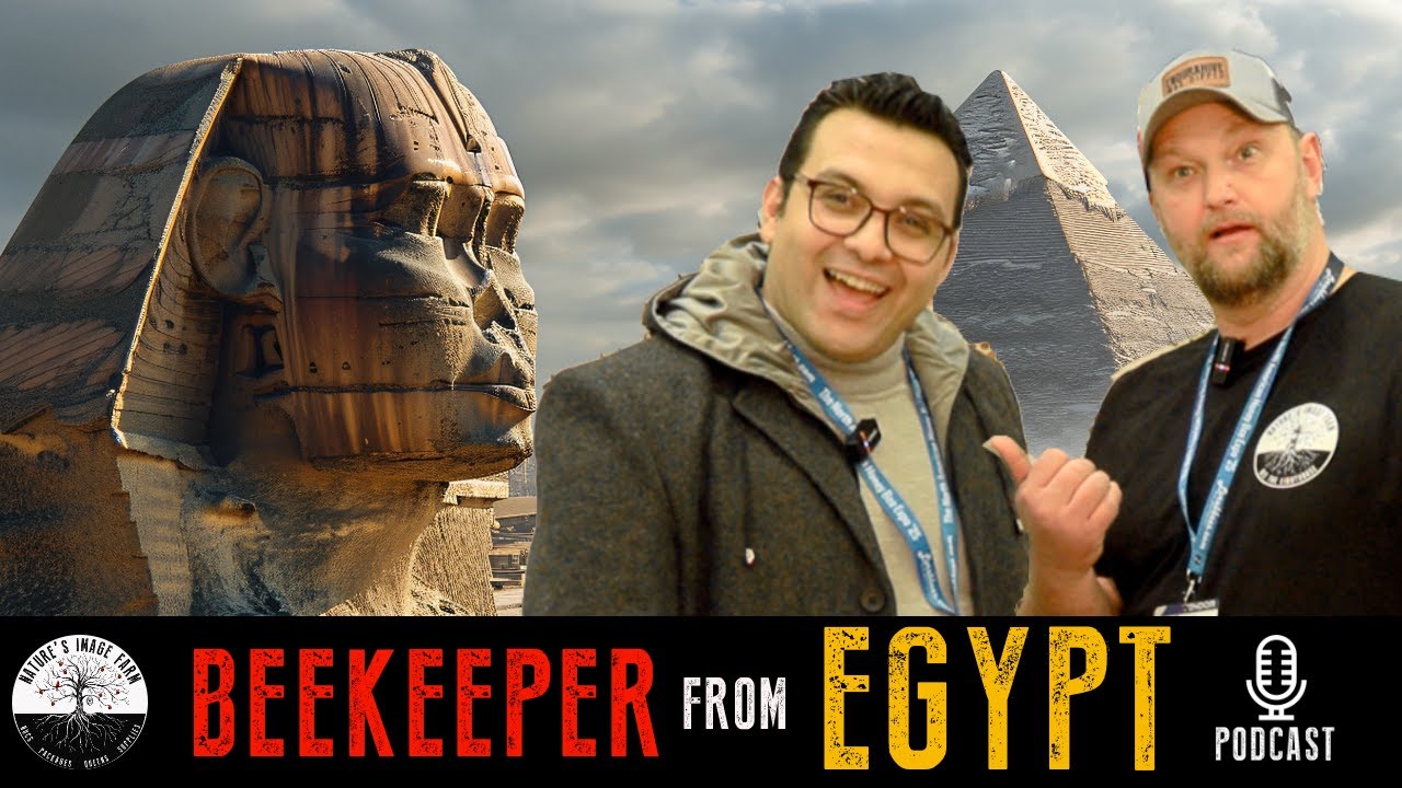 Древнее пчеловодство против современных угроз | Выступление египетского пчеловода Мохамеда Хаграса