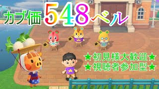 【あつまれどうぶつの森】カブ配信/548ベル開放中