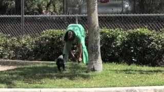 Animal Alternatives Holistic Health Care Clinic - Dr. Anne Lampru