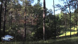 Alabama Land For Sale Hatchett Creek Coosa County