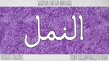 القرآن القارئ عبد الجميل غلاب سورة النمل 027