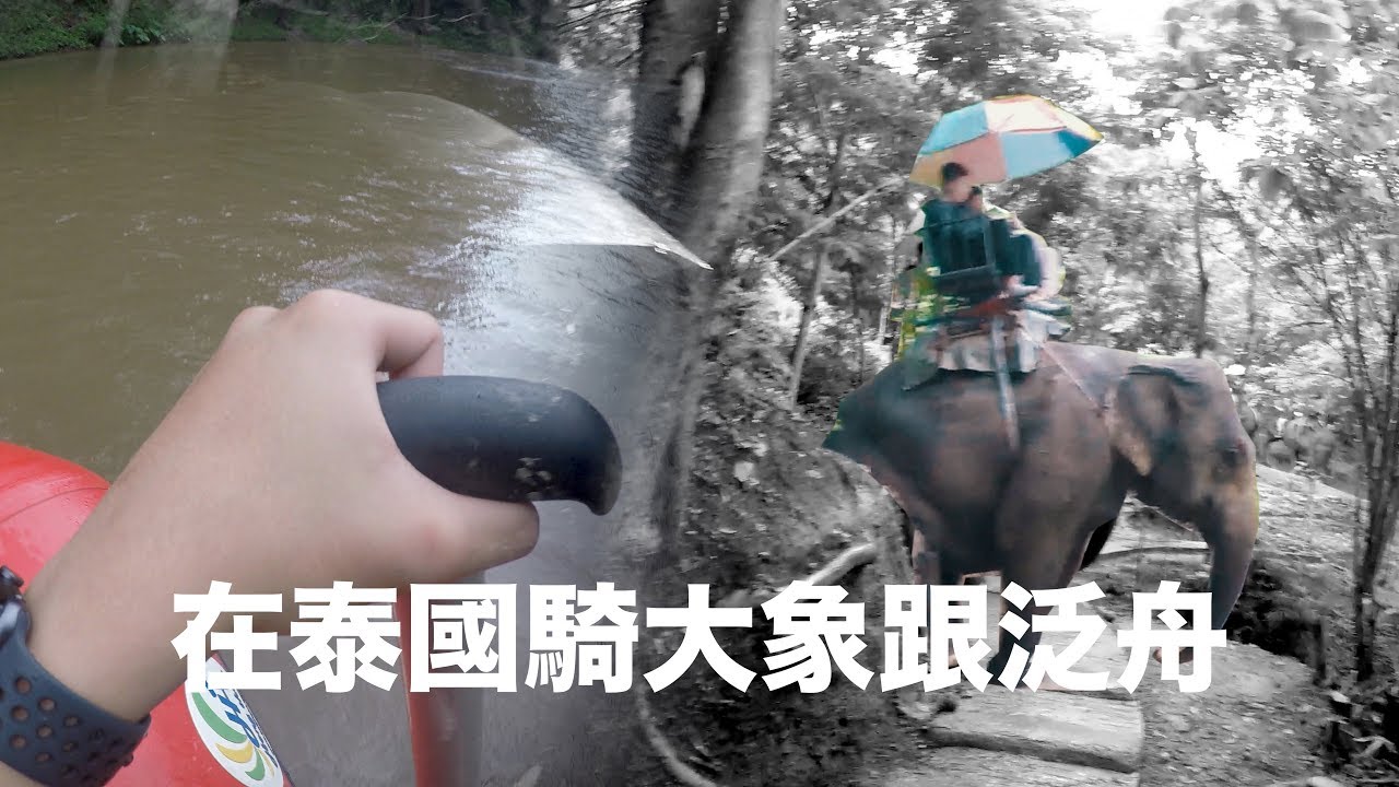 泰國旅遊#1 騎大象騎到一半象夫跑去旁邊尿尿了！？