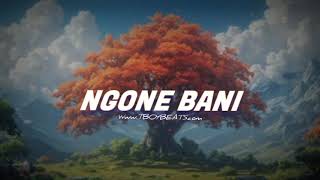 free Afro Pop Maskandi 2024 Instrumental Beat By Tboybeats