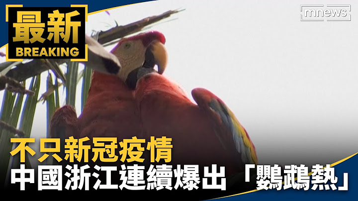 不只新冠疫情　中國浙江連續爆出「鸚鵡熱」病例｜#鏡新聞 - 天天要聞