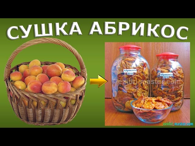 Сушка абрикос – 10 кг. Как сделать курагу в домашних условиях?