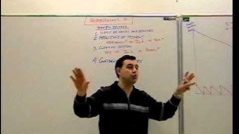 Macroeconomics, Lecture 10